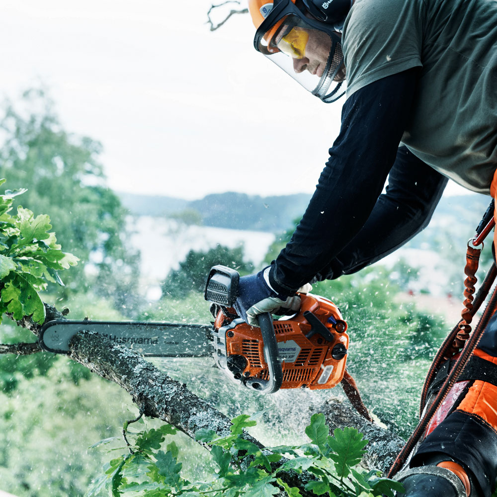 Produktabbildung: Husqvarna - T540 XP® Mark II (14 Zoll)  